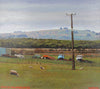 Trucks Waipukurau